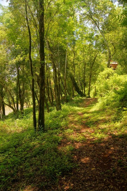 إل سوبربيو Yucuma Lodge المظهر الخارجي الصورة
